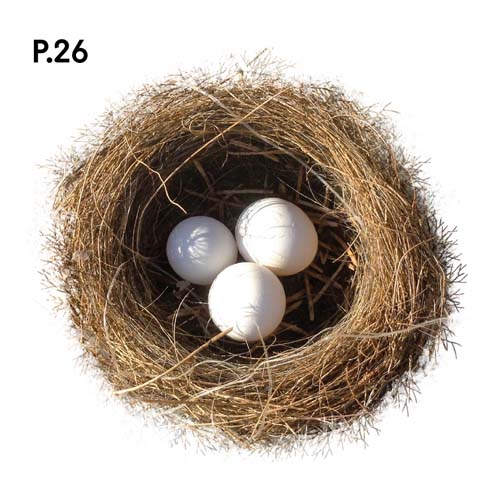 Přírodopis_motiv26.jpg Přírodopis_motiv26.jpg